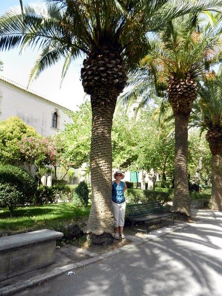 Отзывы об обучении на Мальте Отзывы об обучении на Мальте