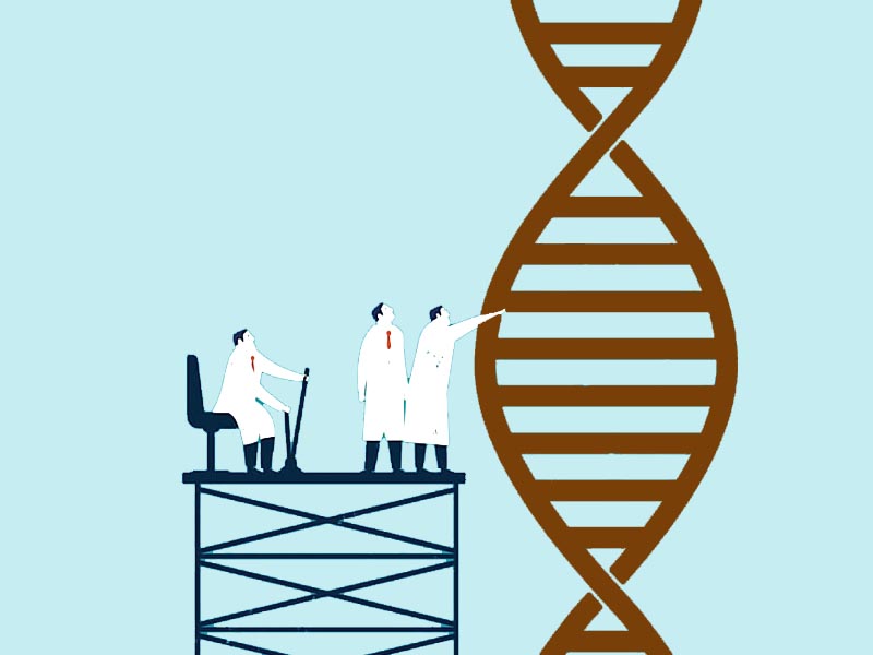 Учёные исследуют генетическую эволюцию жителей Европы