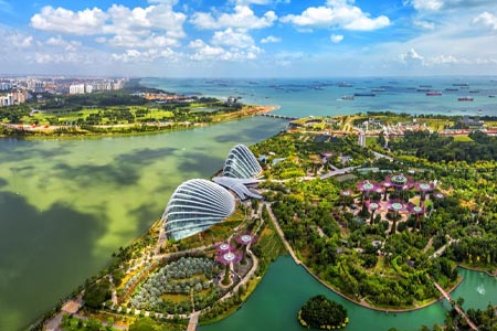 летние курсы