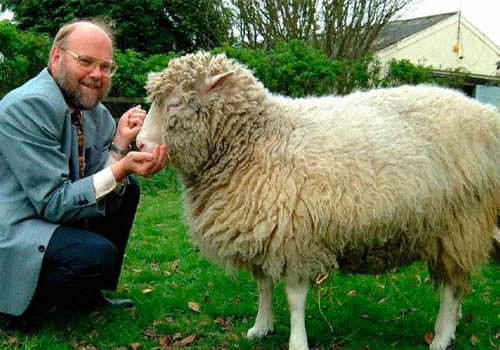 овечка Долли