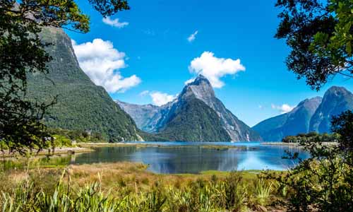 обучение в Новой Зеландии