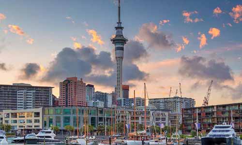 учеба в Новой Зеландии