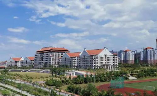 университеты