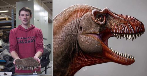 University of Calgary