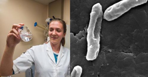 Аманда Блокер