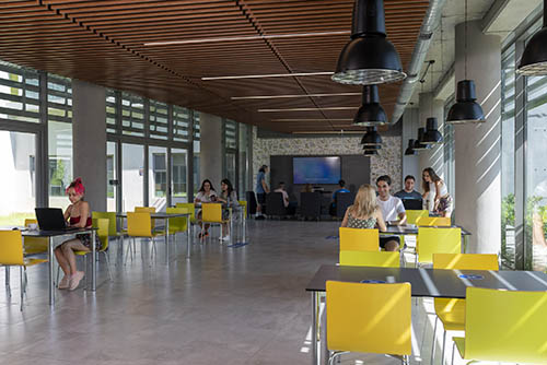 обучение в Турции