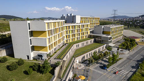 Ozyegin University