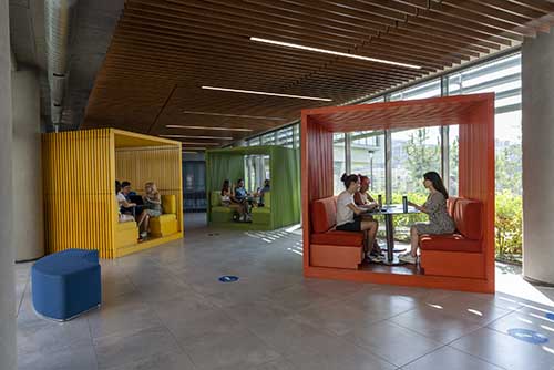 образование в Турции