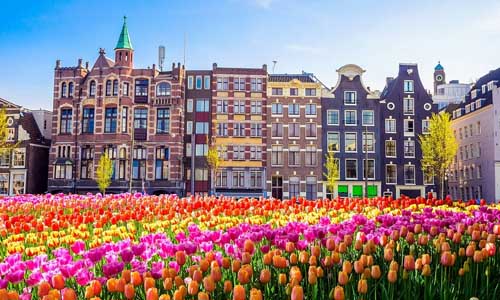 вузы Нидерландов