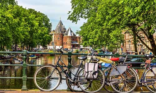 обучение в Нидерландах