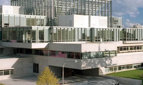 бизнес курсы